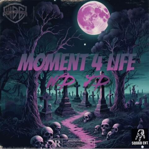 Moment 4 life