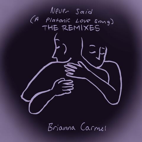 Never Said (A Platonic Love Song) // THE REMIXES