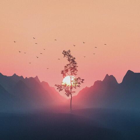 morning light