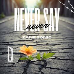 Never Say Never (Radio Edit)