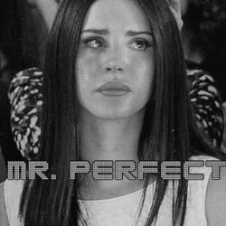 Mr Perfect