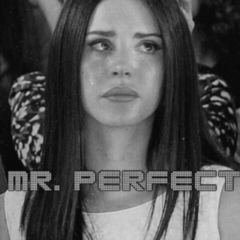 Mr Perfect