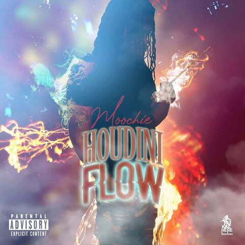 Houdini Flow