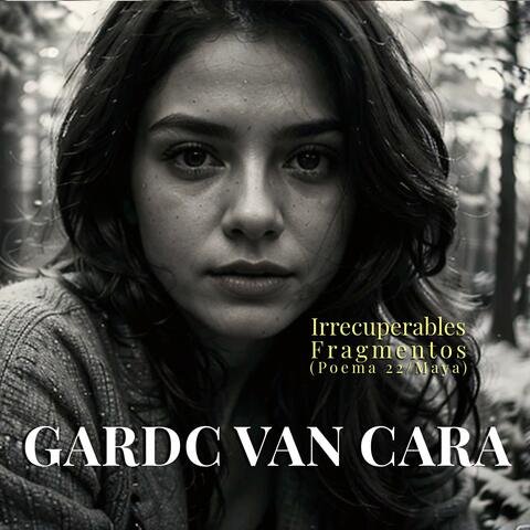 Irrecuperables Fragmentos (Poema 22 / Maya)