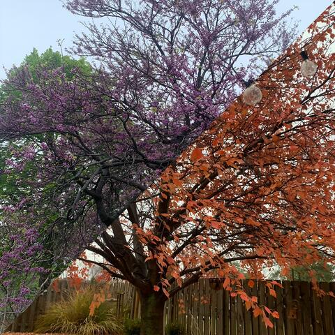 Spring don't Fall or overthink