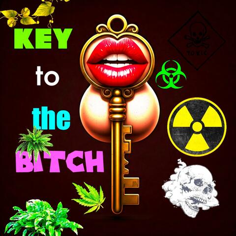 Key to the Bitch