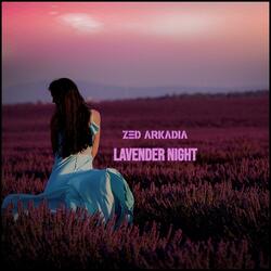 Lavender Night