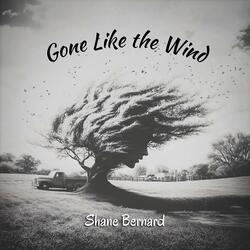 Gone Like The Wind