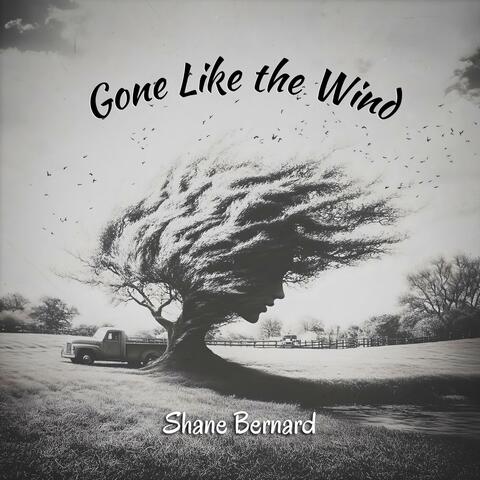 Gone Like The Wind