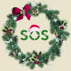 Seed Oil Christmas Day