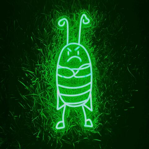 Bugs