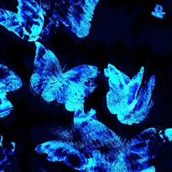 Miami Blue (2024 Remaster)