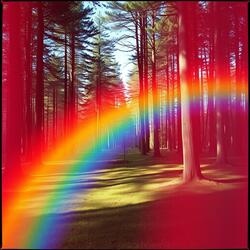 Lisa Frank (Alternate Version)