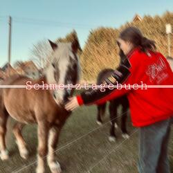 Schmerztagebuch