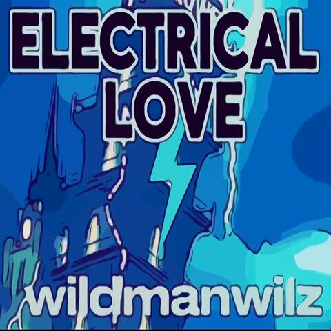 Electrical Love