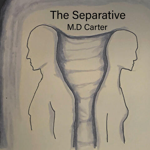 The Seperative