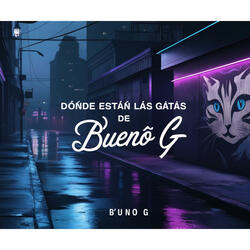 Dónde están las gatas