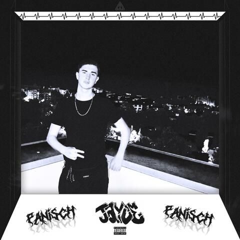 Panisch