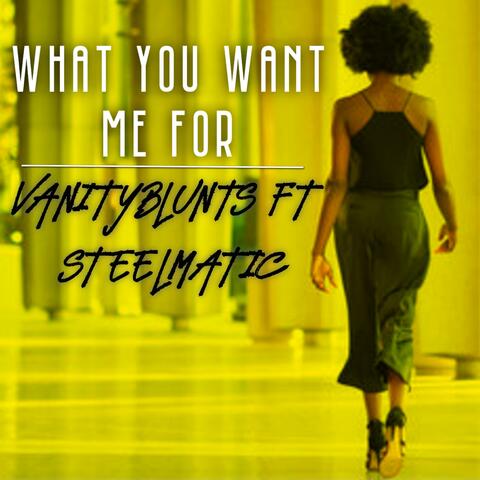 What You Want Me For (feat. Steelmatic)