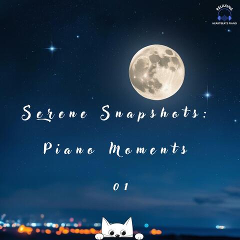 Serene Snapshots: Piano Moments 01