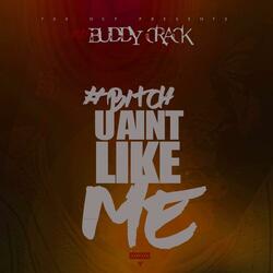 Bitch You Ain Like Me