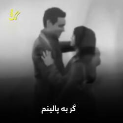 گر به پالینم شبی آیی