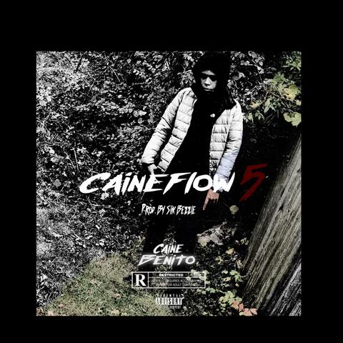 CaineFlow 5