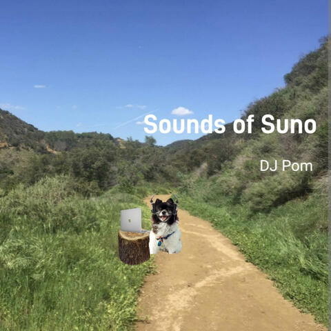 Sounds of Suno
