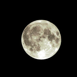Flowering moon