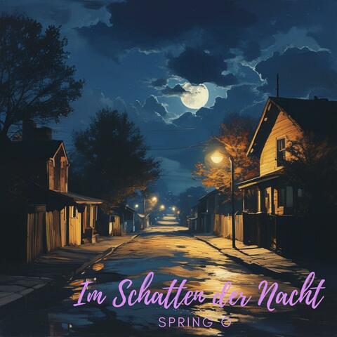 Im Schatten der Nacht