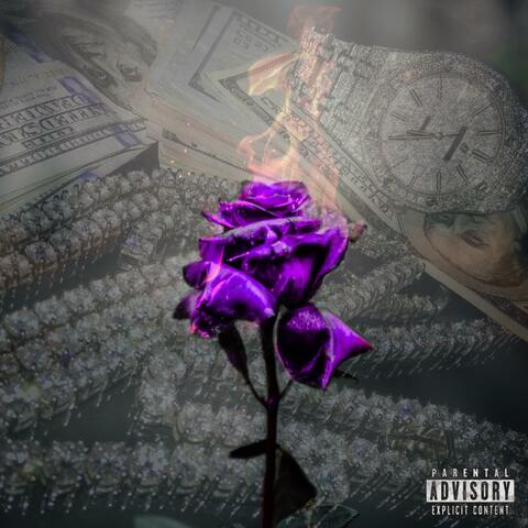 Rose: The Introduction