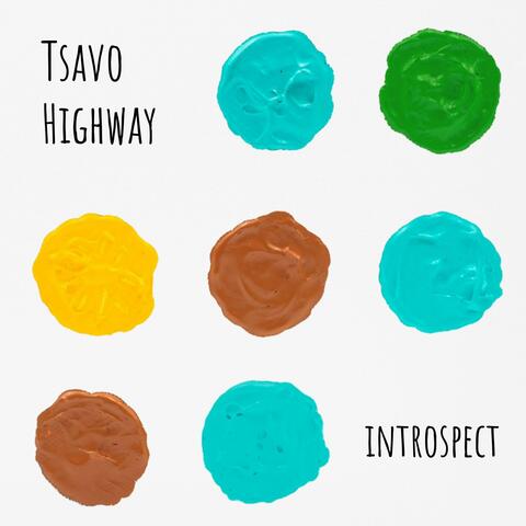 Introspect