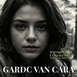 Irrecuperables Fragmentos (Poema 25/ Sobreviví)