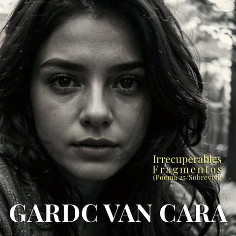 Irrecuperables Fragmentos (Poema 25/ Sobreviví)