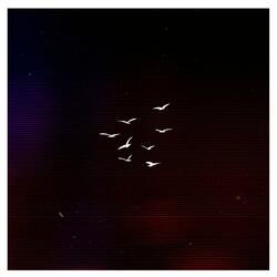 Sometimes it is the little things (Tarntanya Adelaide workshop, 2012)