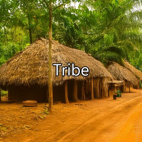 Tribe