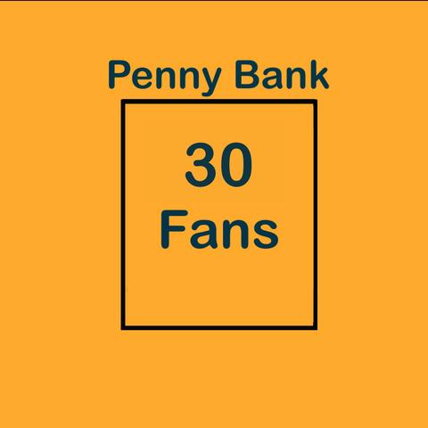 30 Fans
