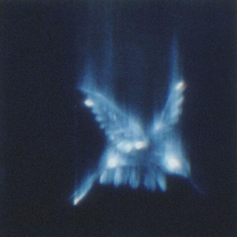 spirits
