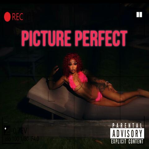 Picture Perfect