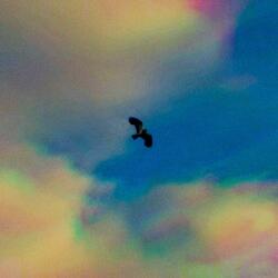 Illusion of Dreamscape