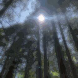 Old Friends (feat. grl of the year)