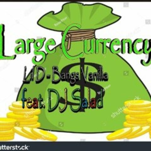 Large Currency (feat. Bangs Vanilla & DJ Salad)