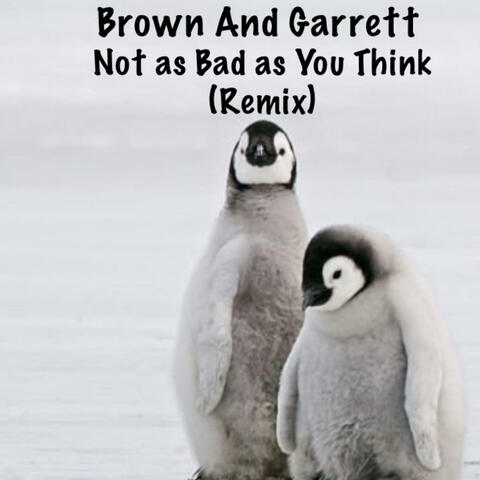 Not as Bad as You Think (Remix)