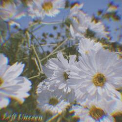 Left Unseen