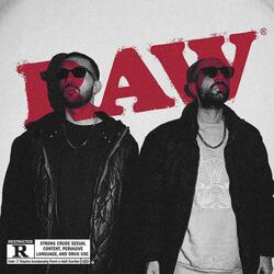 RAW (feat. Mehrzad NPR)