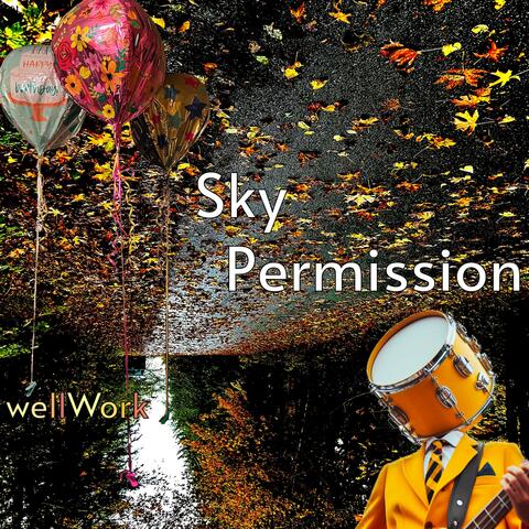 Sky Permission