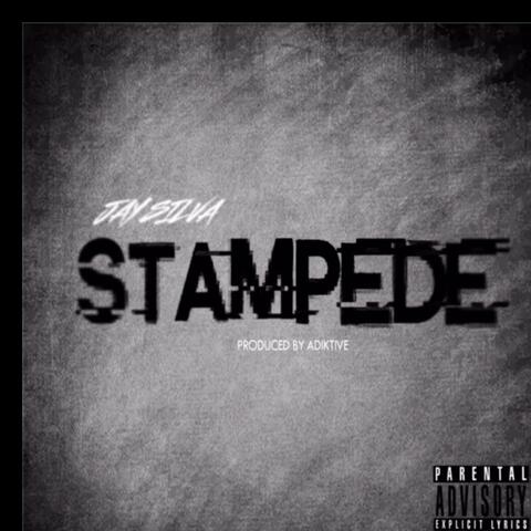 STAMPEDE