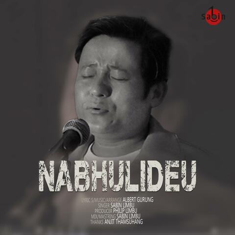 Nabhulideu