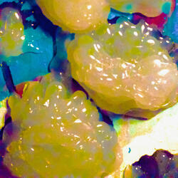 The HistaMEANIES got me down