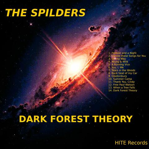 DARK FOREST THEORY